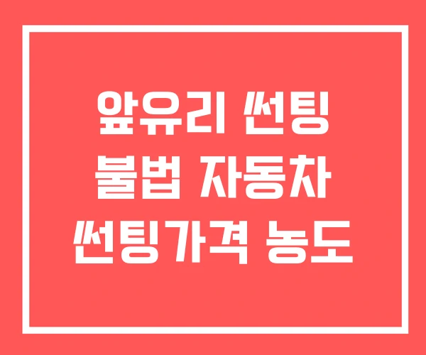 앞유리 썬팅 불법 자동차 썬팅가격 농도 앞유리 썬팅 불법 자동차 썬팅가격 농도