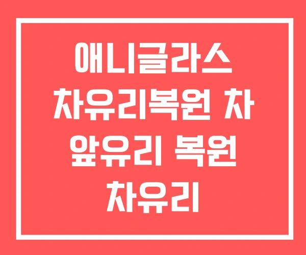 애니글라스 차유리복원 차 앞유리 복원 차유리