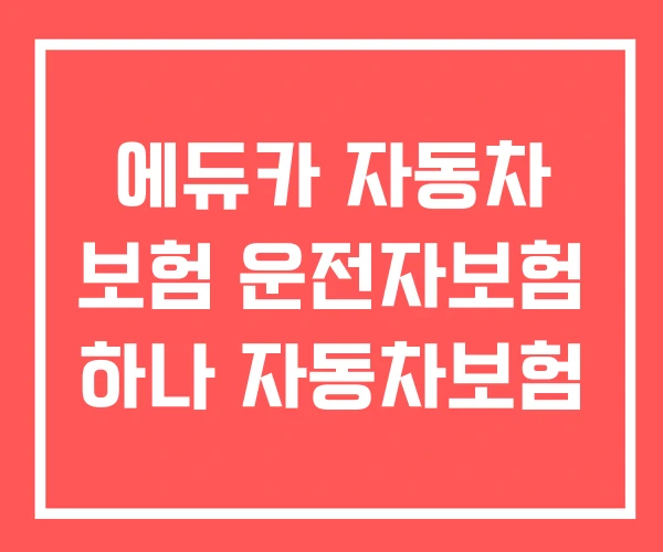 에듀카 자동차 보험 운전자보험 하나 자동차보험 에듀카 자동차 보험 운전자보험 하나 자동차보험