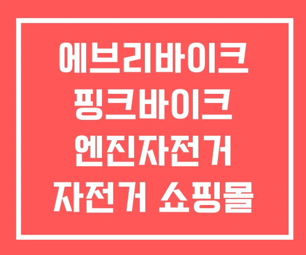 에브리바이크 핑크바이크 엔진자전거 자전거 쇼핑몰