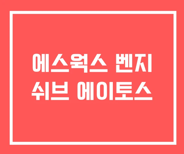 에스웍스 벤지 쉬브 에이토스