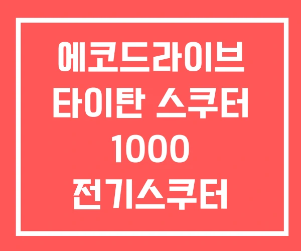 에코드라이브 타이탄 스쿠터 1000 전기스쿠터