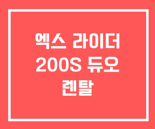 엑스 라이더 200S 듀오 렌탈 엑스 라이더 200S 듀오 렌탈