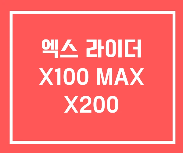 엑스 라이더 X100 MAX X200