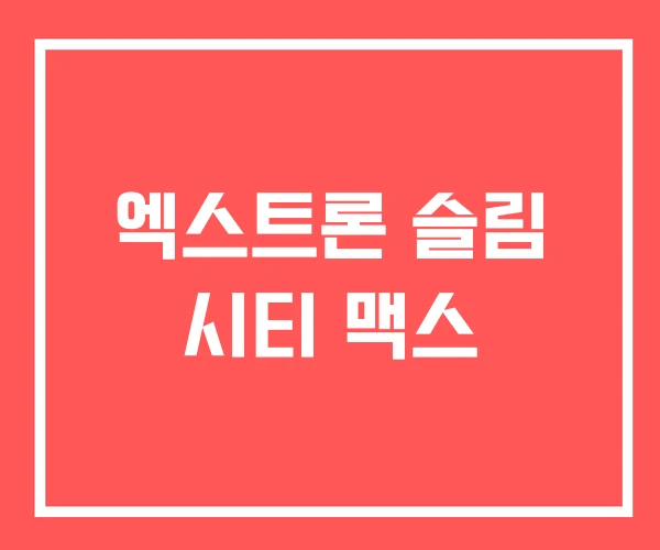 엑스트론 슬림 시티 맥스