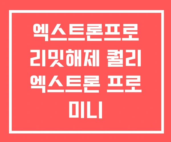 엑스트론프로 리밋해제 퀄리 엑스트론 프로 미니