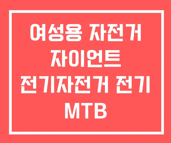 여성용 자전거 자이언트 전기자전거 전기 MTB