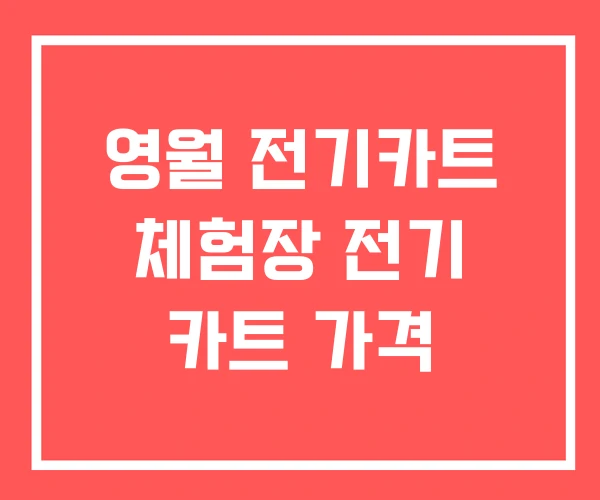 영월 전기카트 체험장 전기 카트 가격