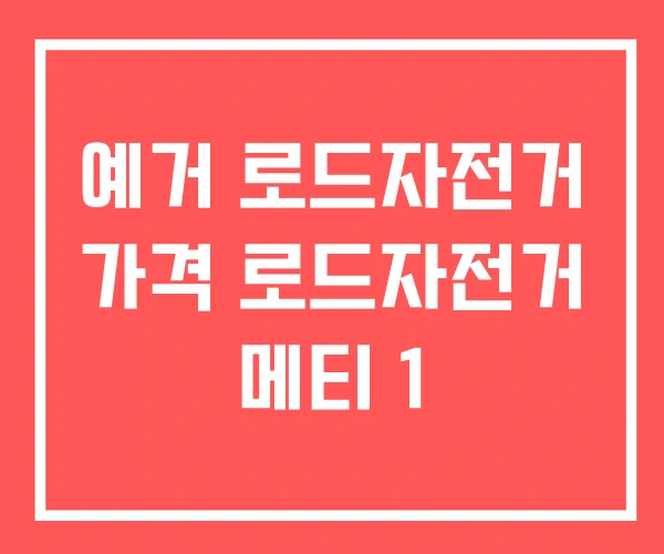 예거 로드자전거 가격 로드자전거 메티 1