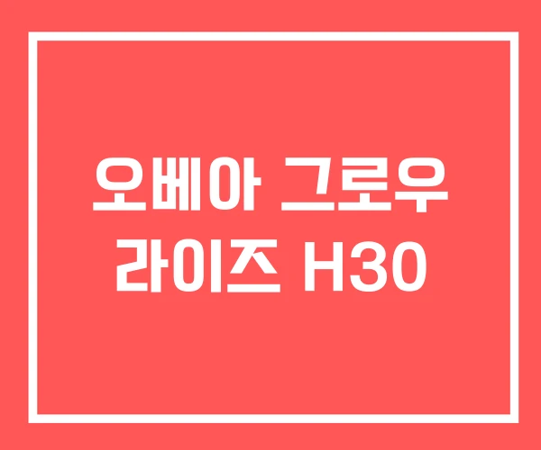 오베아 그로우 라이즈 H30