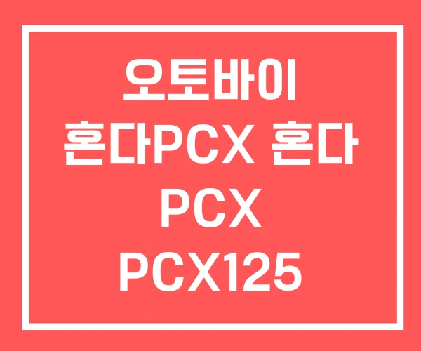 오토바이 혼다PCX 혼다 PCX PCX125 오토바이 혼다PCX 혼다 PCX PCX125