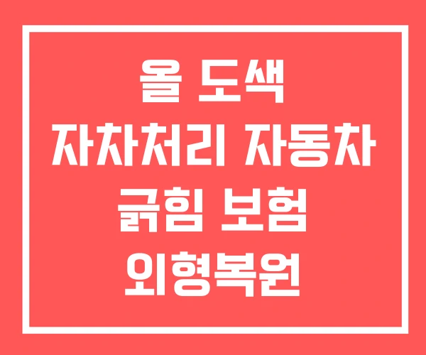 올 도색 자차처리 자동차 긁힘 보험 외형복원 보험처리