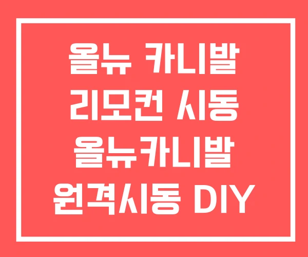 올뉴 카니발 리모컨 시동 올뉴카니발 원격시동 DIY