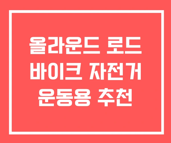 올라운드 로드 바이크 자전거 운동용 추천