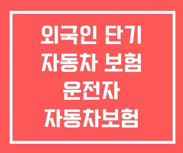 외국인 단기 자동차 보험 운전자 자동차보험
