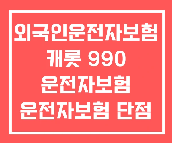 외국인운전자보험 캐롯 990 운전자보험 운전자보험 단점