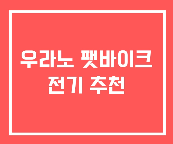 우라노 팻바이크 전기 추천