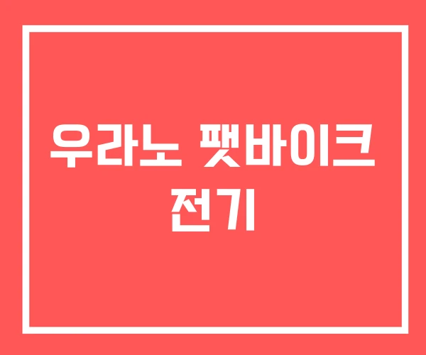 우라노 팻바이크 전기