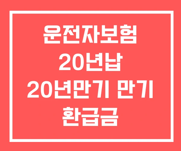 운전자보험 20년납 20년만기 만기 환급금