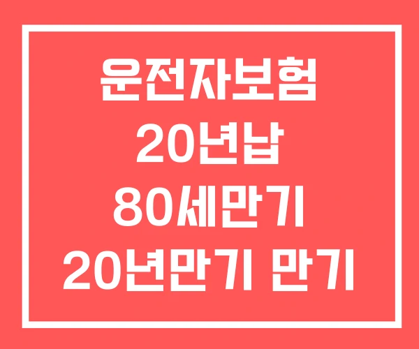 운전자보험 20년납 80세만기 20년만기 만기 환급금