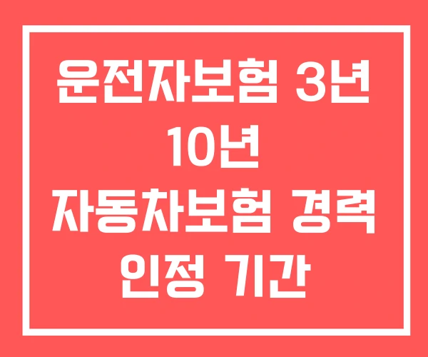 운전자보험 3년 10년 자동차보험 경력 인정 기간