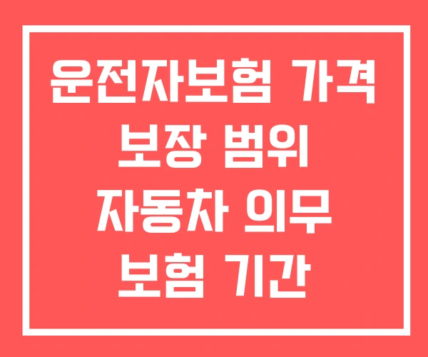운전자보험 가격 보장 범위 자동차 의무 보험 기간