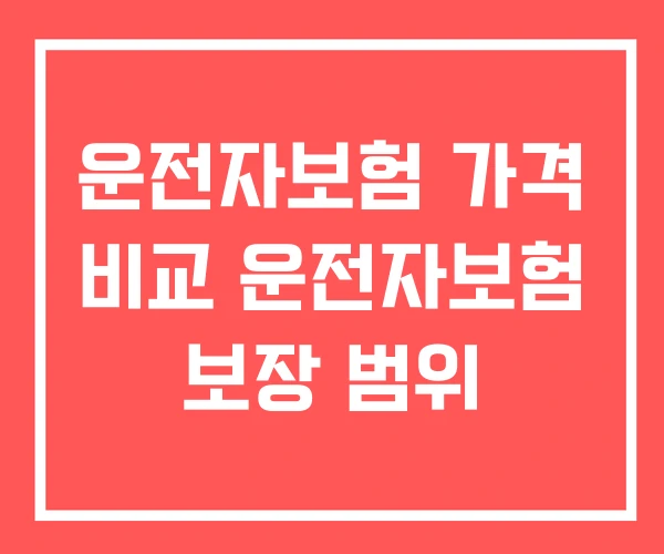 운전자보험 가격 비교 운전자보험 보장 범위
