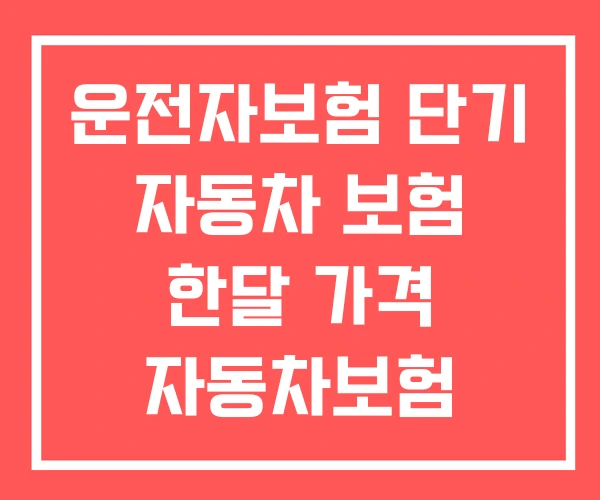 운전자보험 단기 자동차 보험 한달 가격 자동차보험 한달만