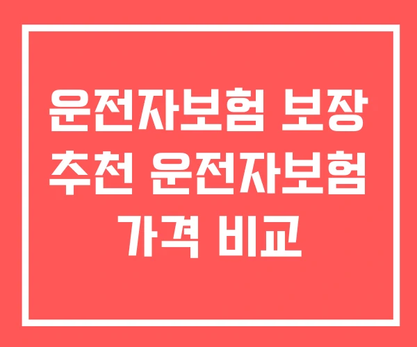 운전자보험 보장 추천 운전자보험 가격 비교