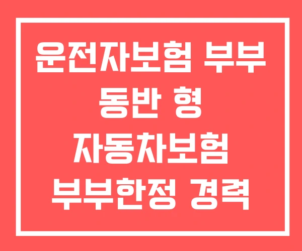 운전자보험 부부 동반 형 자동차보험 부부한정 경력 인정 운전자보험 부부 동반 형 자동차보험 부부한정 경력 인정