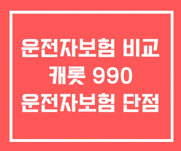 운전자보험 비교 캐롯 990 운전자보험 단점