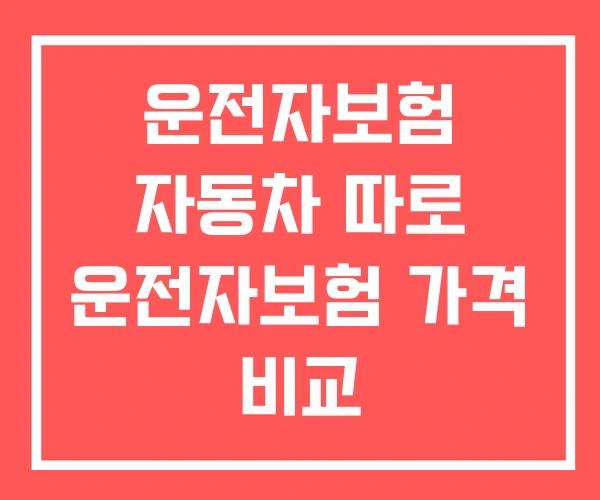 운전자보험 자동차 따로 운전자보험 가격 비교