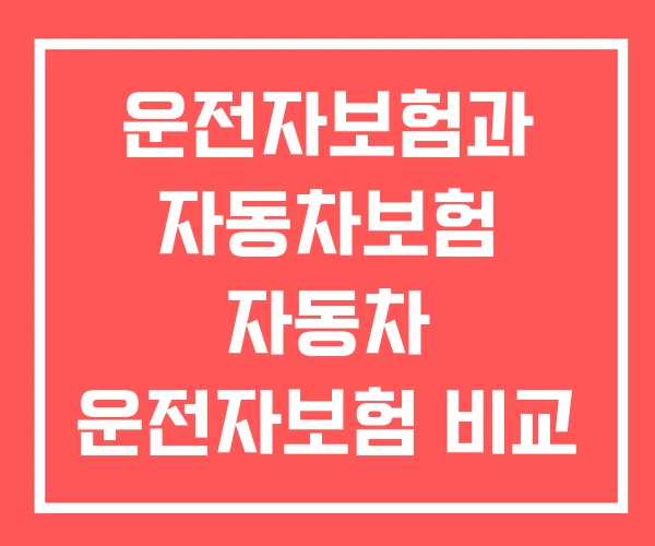 운전자보험과 자동차보험 자동차 운전자보험 비교