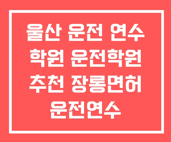 울산 운전 연수 학원 운전학원 추천 장롱면허 운전연수