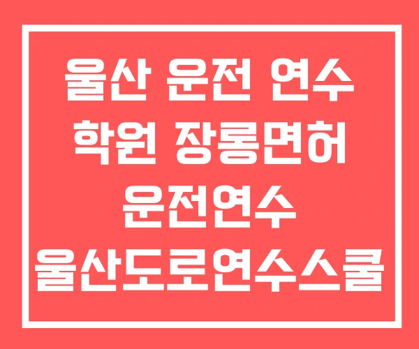울산 운전 연수 학원 장롱면허 운전연수 울산도로연수스쿨