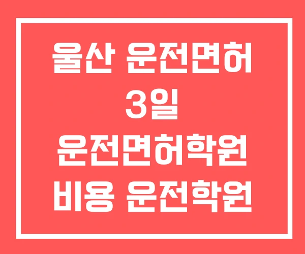 울산 운전면허 3일 운전면허학원 비용 운전학원 추천
