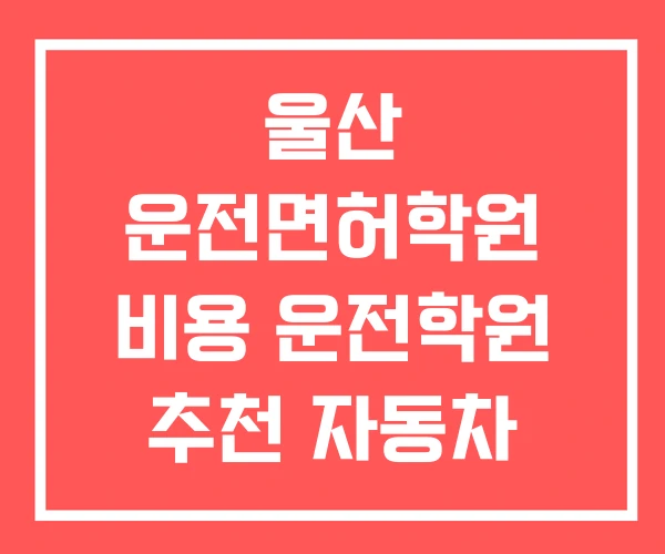 울산 운전면허학원 비용 운전학원 추천 자동차 학원 리뷰