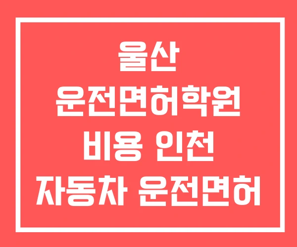 울산 운전면허학원 비용 인천 자동차 운전면허 학원 울산 운전면허학원 비용 인천 자동차 운전면허 학원