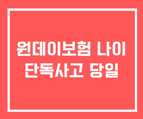 원데이보험 나이 단독사고 당일