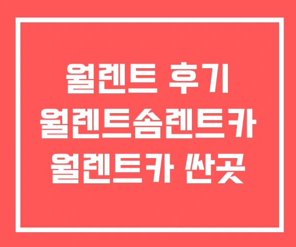 월렌트 후기 월렌트솜렌트카 월렌트카 싼곳