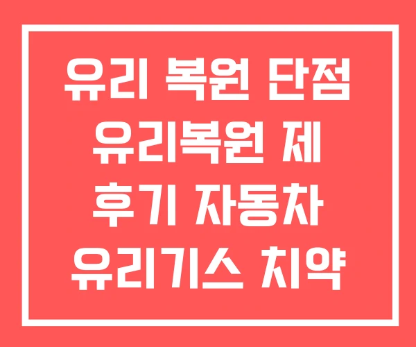 유리 복원 단점 유리복원 제 후기 자동차 유리기스 치약