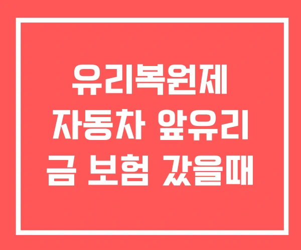유리복원제 자동차 앞유리 금 보험 갔을때