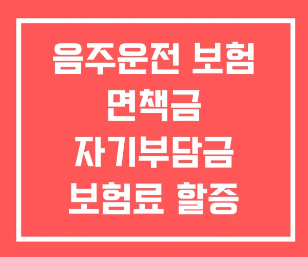 음주운전 보험 면책금 자기부담금 보험료 할증