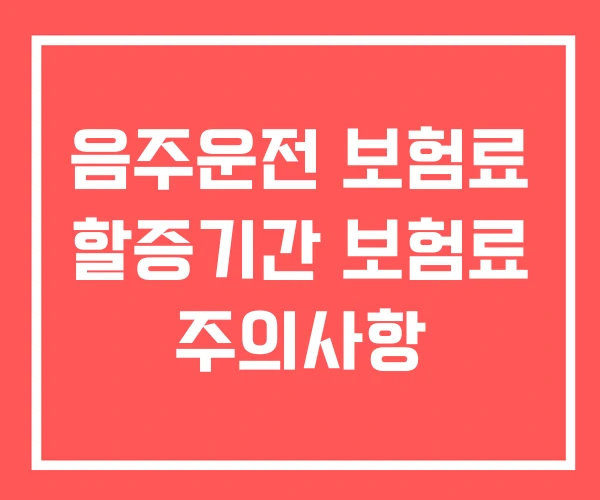음주운전 보험료 할증기간 보험료 주의사항 음주운전 보험료 할증기간 보험료 주의사항