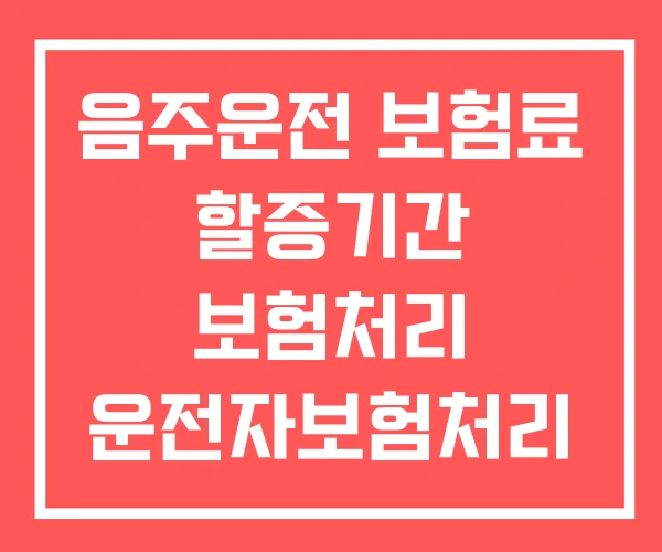 음주운전 보험료 할증기간 보험처리 운전자보험처리