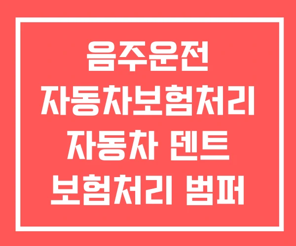 음주운전 자동차보험처리 자동차 덴트 보험처리 범퍼
