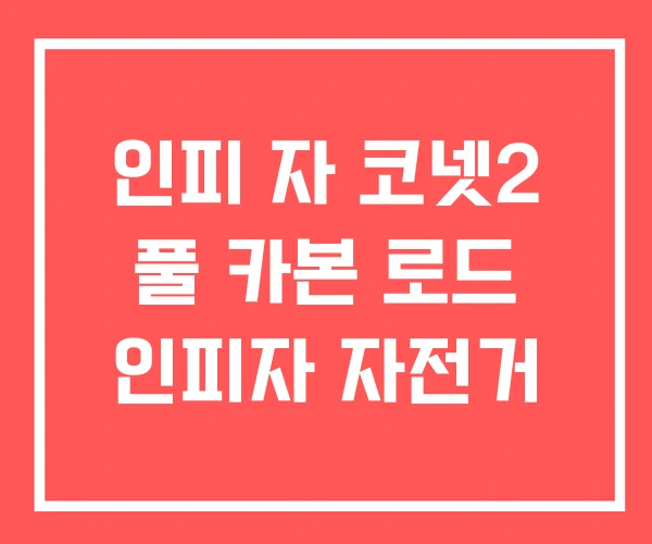 인피 자 코넷2 풀 카본 로드 인피자 자전거