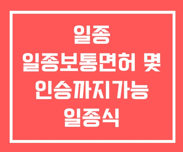 일종 일종보통면허 몇 인승까지가능 일종식 일종 일종보통면허 몇 인승까지가능 일종식