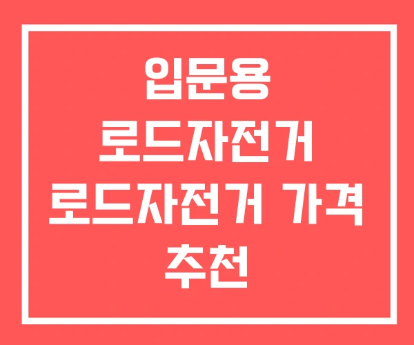 입문용 로드자전거 로드자전거 가격 추천