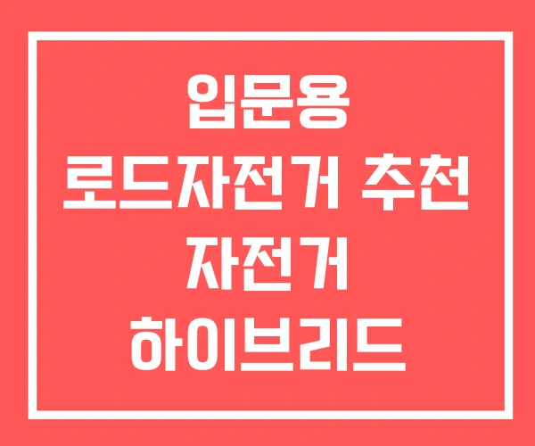 입문용 로드자전거 추천 자전거 하이브리드